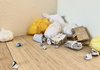 ゴミを溜めすぎてしまった