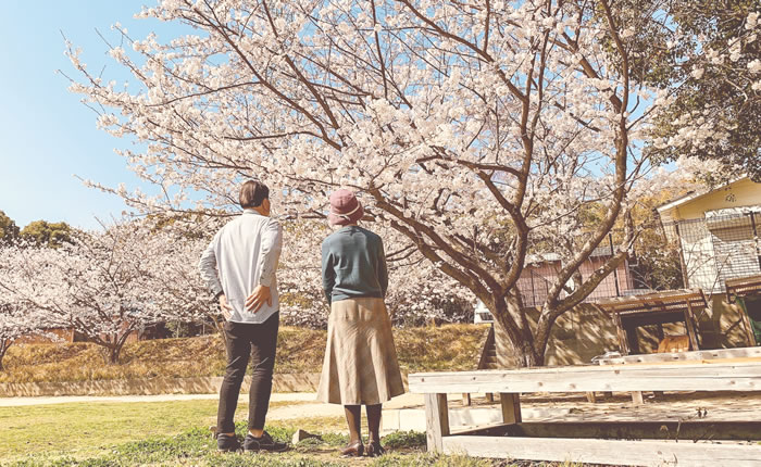 老前・生前整理