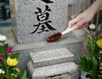 お墓掃除の代行